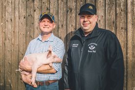 Metzgerei Voß mit Babyschwein